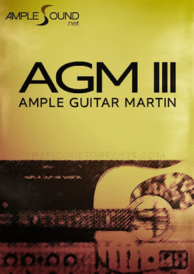 Cover Ample Guitar M III - Ample Sound