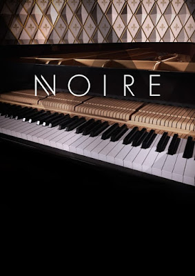 Cover Native Instruments - Noire (Kontakt)